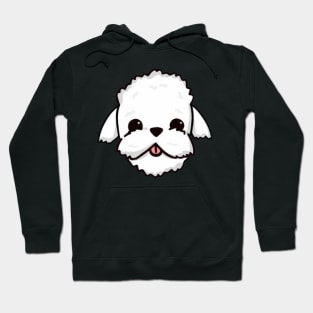 Fluffy Coin Hoodie